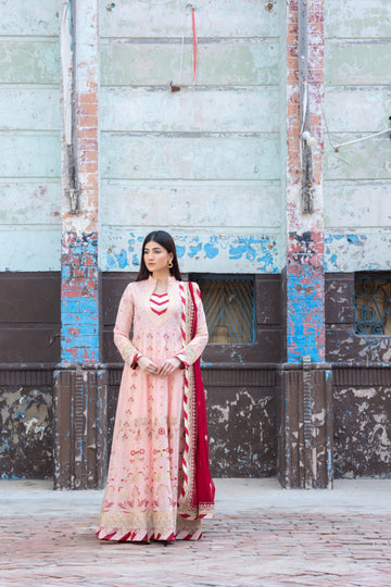 SDRS24-112 3 Piece Pink Embroidered Maxi | Ready To Wear