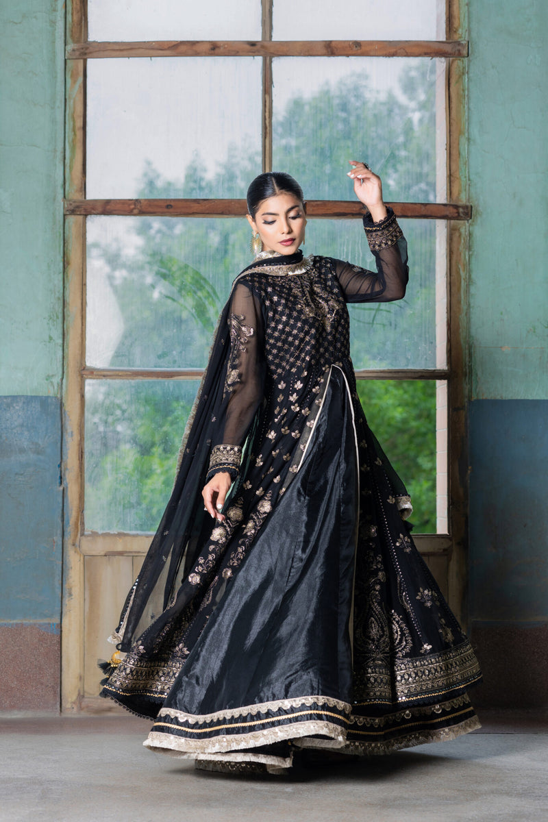 SDRS24-111 3 Piece Embroidered Chiffon Frock | Stitched |