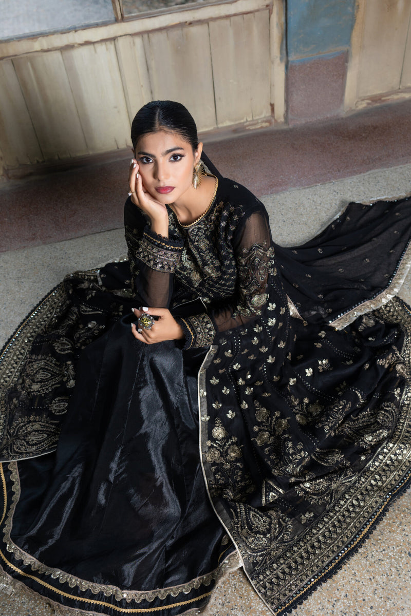 SDRS24-111 3 Piece Embroidered Chiffon Frock | Stitched |