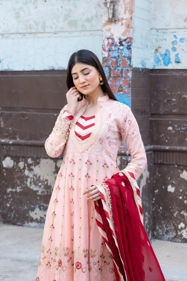 SDRS24-112 3 Piece Pink Embroidered Maxi | Ready To Wear