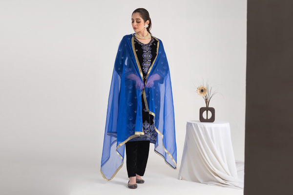 2 Piece Embroidery Velvet Suit | Glam Look Collection