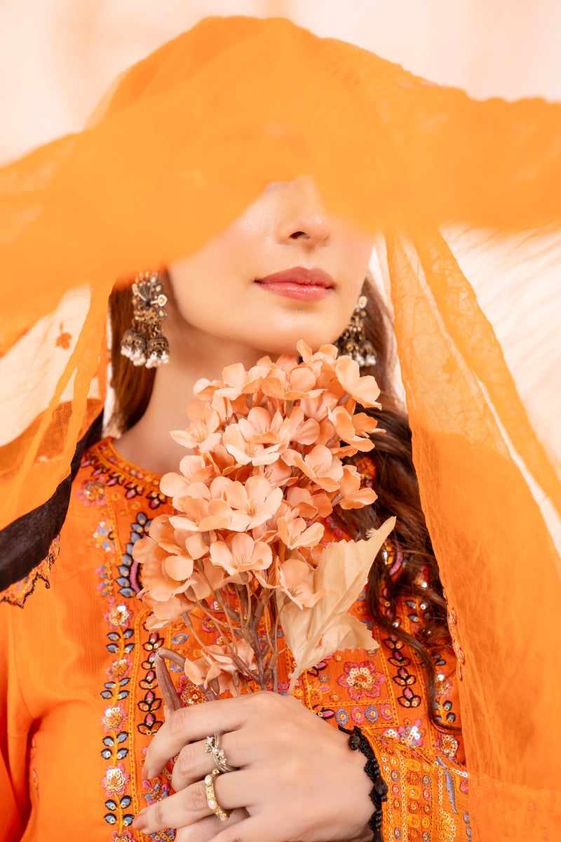 SD-PA3-065-25 ZARQASH