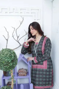 Nair [RW-24] Karandi Stiched Deevani Collection