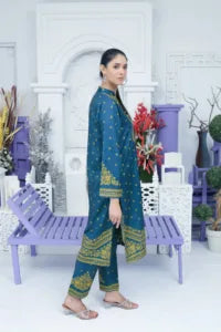 Kaz [RW-24] Karandi Stiched Deevani Collection