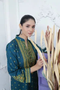 Kaz [RW-24] Karandi Stiched Deevani Collection