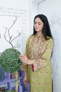 Craft [RW-24] Karandi Stiched Deevani Collection