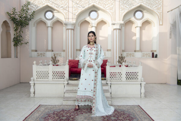 Pakistani lawn suits online