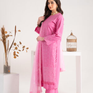 Pakistani Women's Clothing